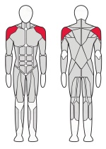 Дельта машина Fitex Pro FTX-61F03