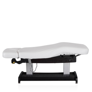Электрический стационарный массажный стол Mizomed Union Salon