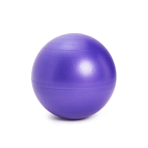 Гимнастический мяч SISSEL Securemax Exercise Ball диаметр 65 см, темно-фиолетовый