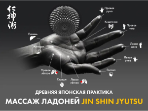 Массажное кресло Fujimo Combat 4D Коричневый