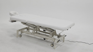 Массажный стол стационарный Davos-Tilt с электроприводом