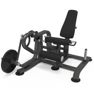 Разгибание ног на свободных весах AnyFit T05