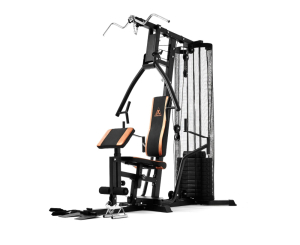 Силовой комплекс DFC HomeGym D5125 стек 81.5 кг