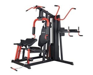 Силовой комплекс DFC WRK-5200