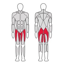 Тренажер для бедер и ягодичных мышц Gym80 Sygnum Medical 3256