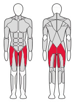 Тренажер для приводящих и отводящих мышц бедра Fitex Pro FTX-FB25