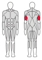 Трицепс машина (брусья) Fitex Pro FTX-61F11