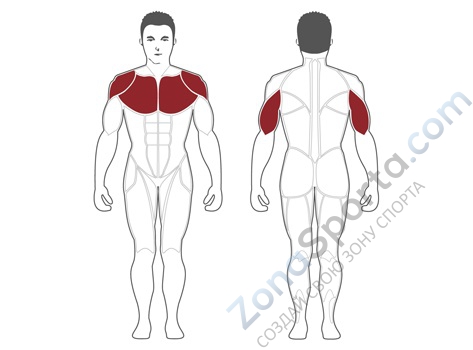 Жим от груди Steel Flex Hope HBP100