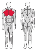 Жим под углом вверх Fitex Pro  FTX-7306